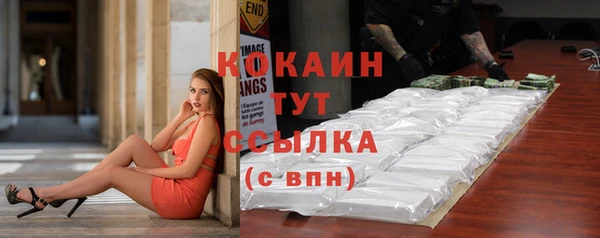 гидра Зеленокумск
