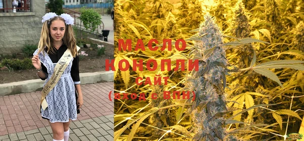гидра Зеленокумск