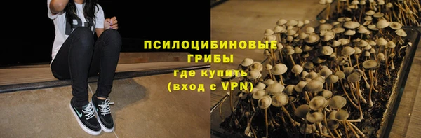 гидра Зеленокумск