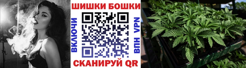 Каннабис Amnesia  Купить  Вологда 